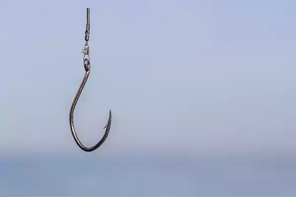 Phishing Scams