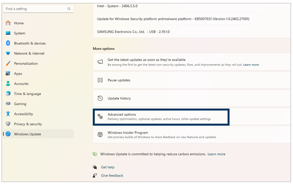 Advanced window Update option in Windows 11