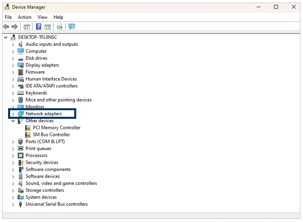 Network adapters in Device Manager 