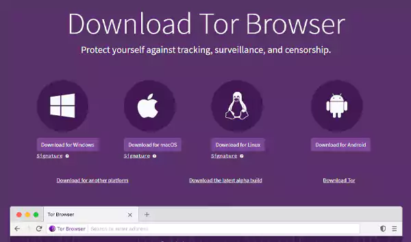 Download the Tor browser